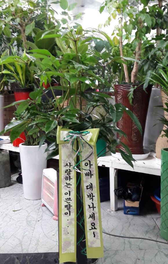 웰빙홈마트 이미지