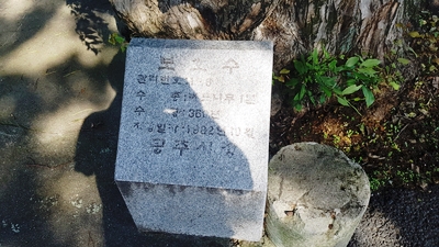 신영휴게소 이미지