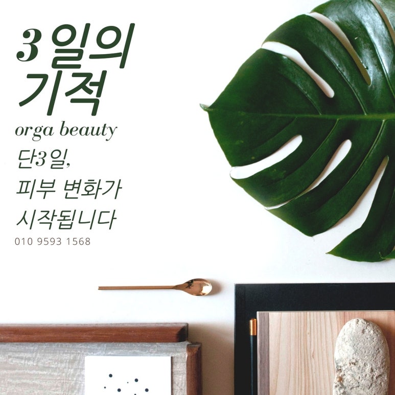 올가스킨케어 이미지