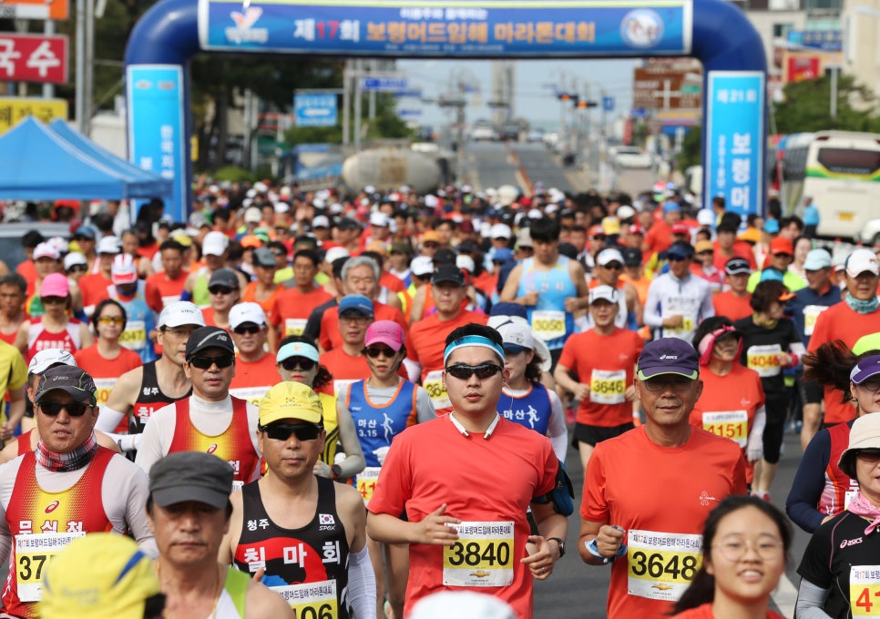 보령머드36 이미지