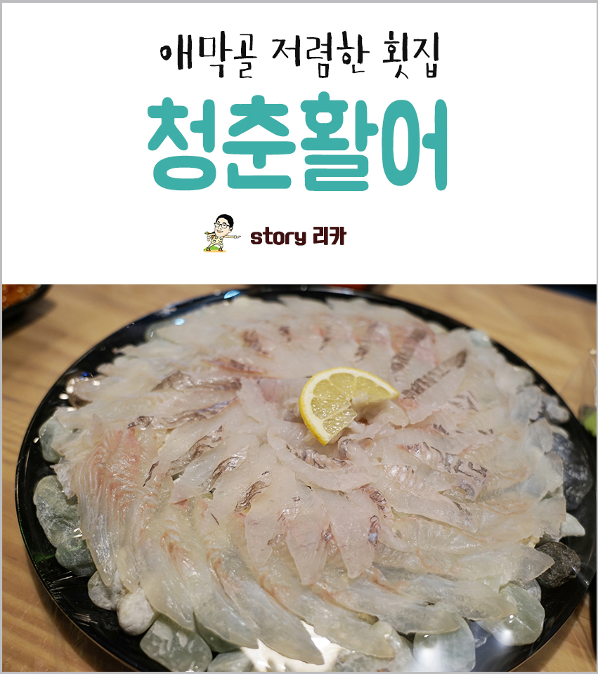 청춘활어 이미지