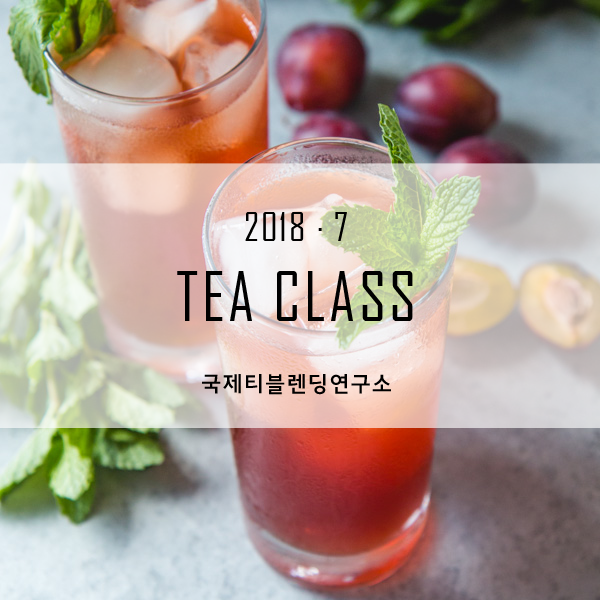 국제티블렌딩연구소 이미지