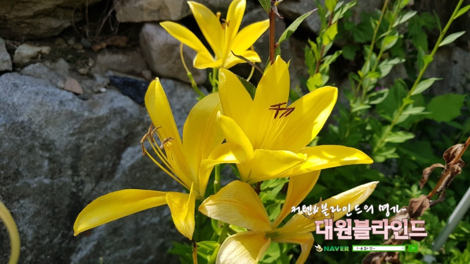 건영지물포 이미지