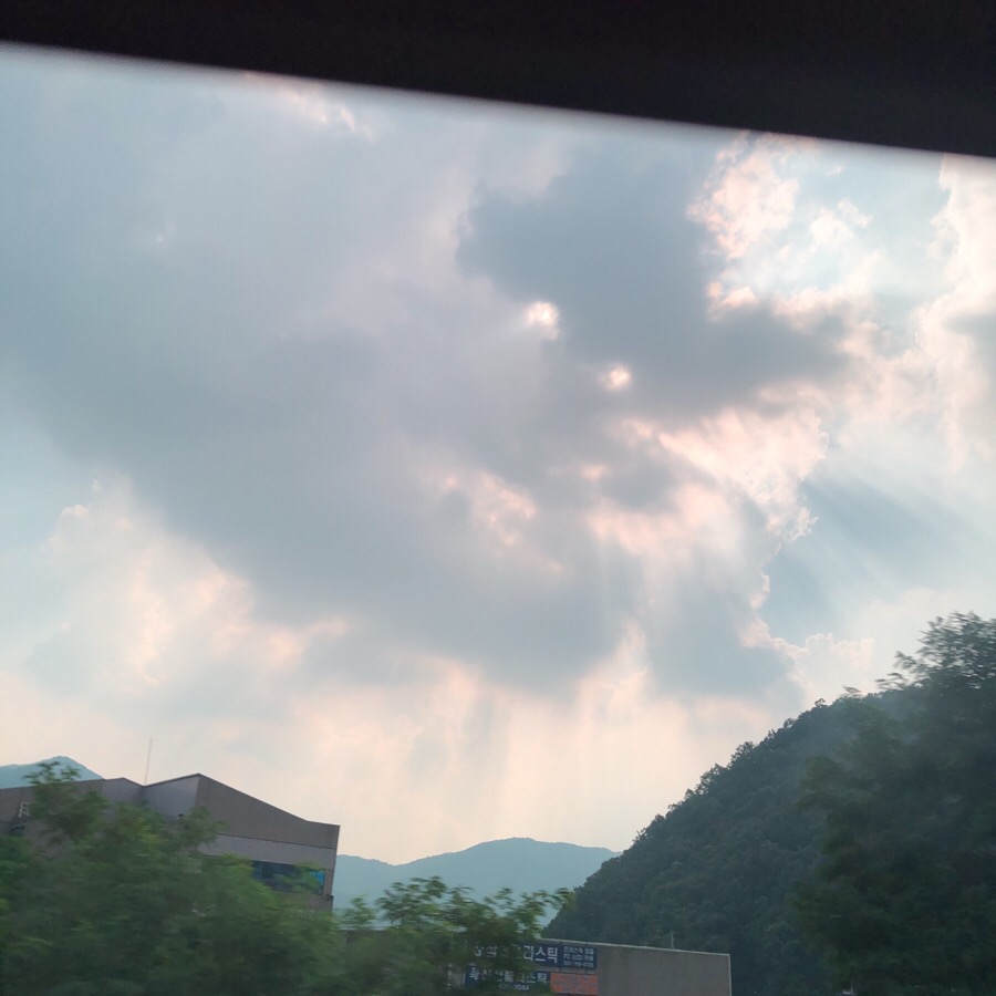 하이비전센터 이미지