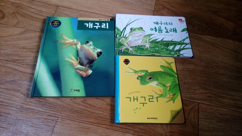 개구리노래클럽 이미지