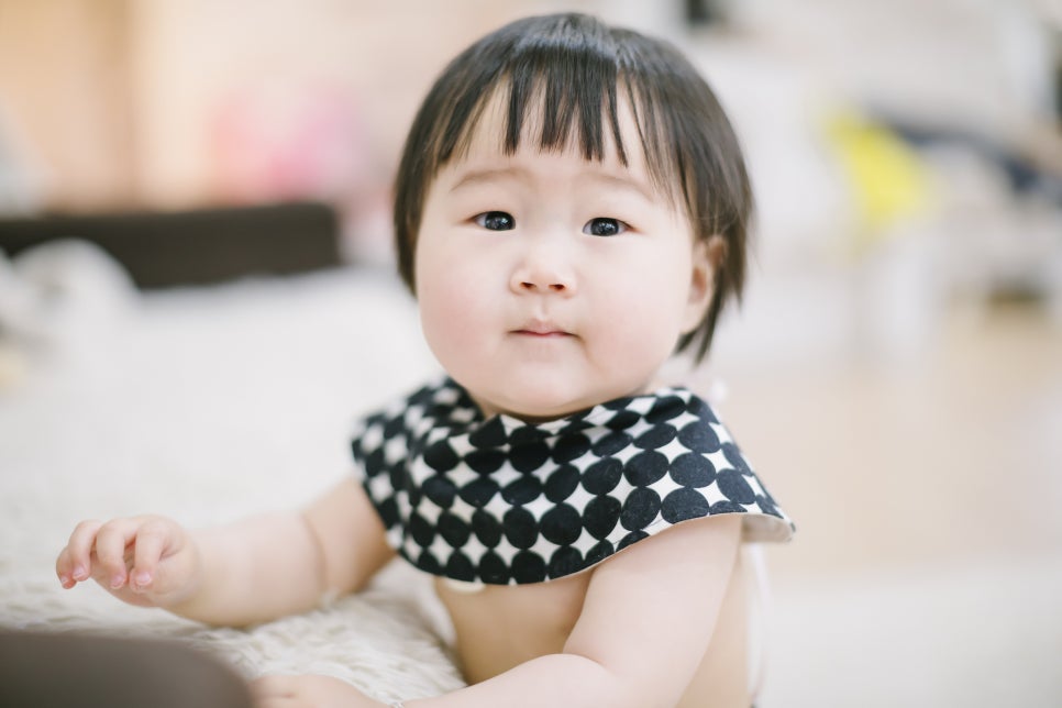 제이즈 이미지