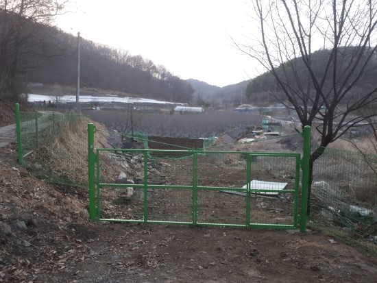 왕베리농원 이미지