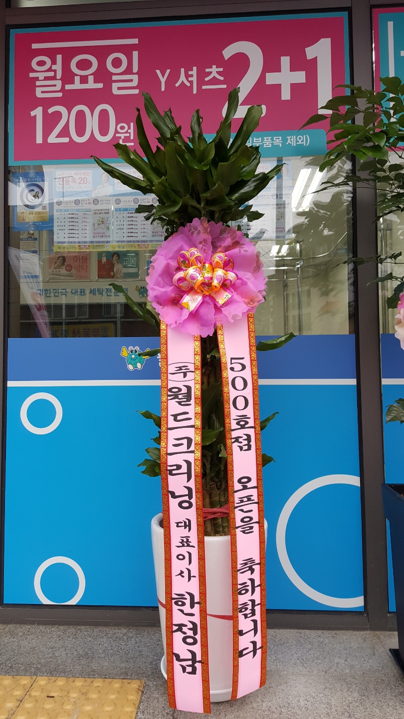 월드크리닝부산 이미지