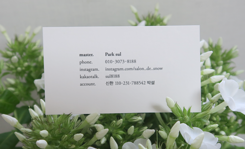 살롱드스노우 이미지