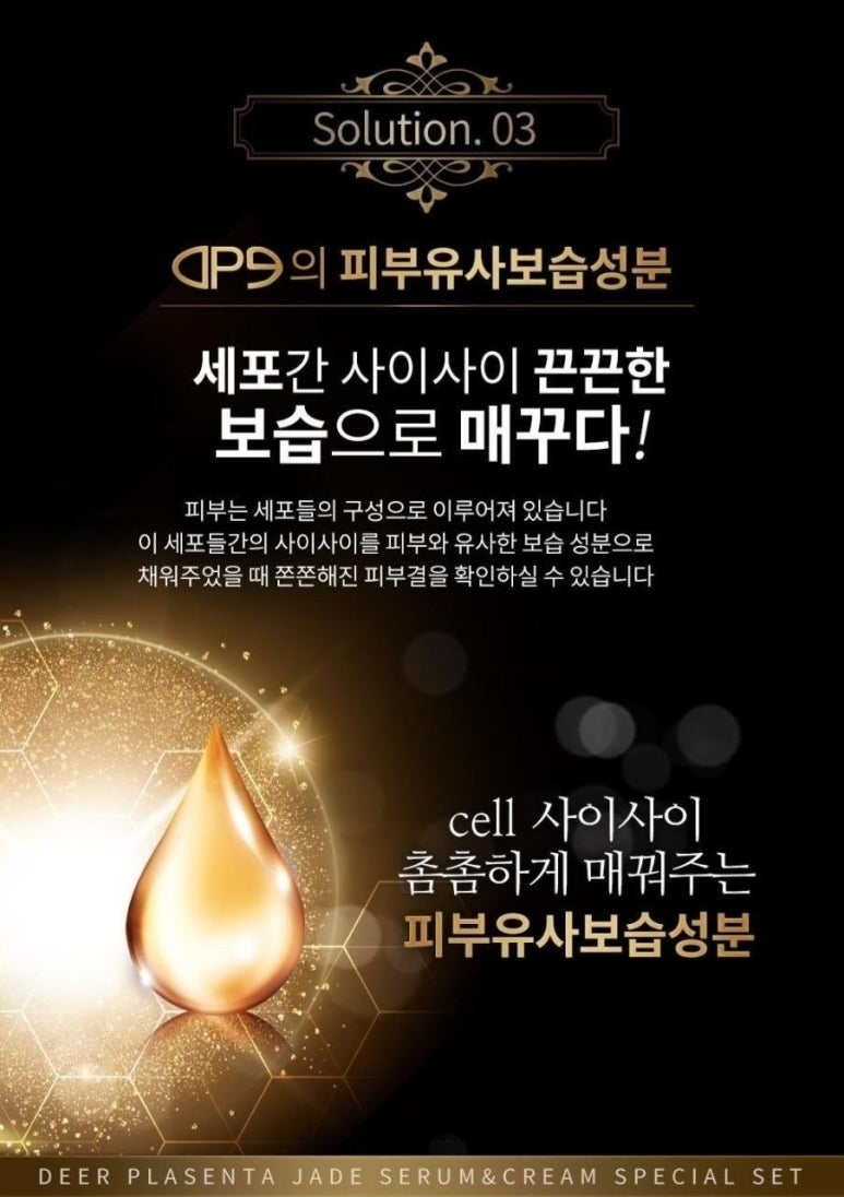 디피라인 이미지
