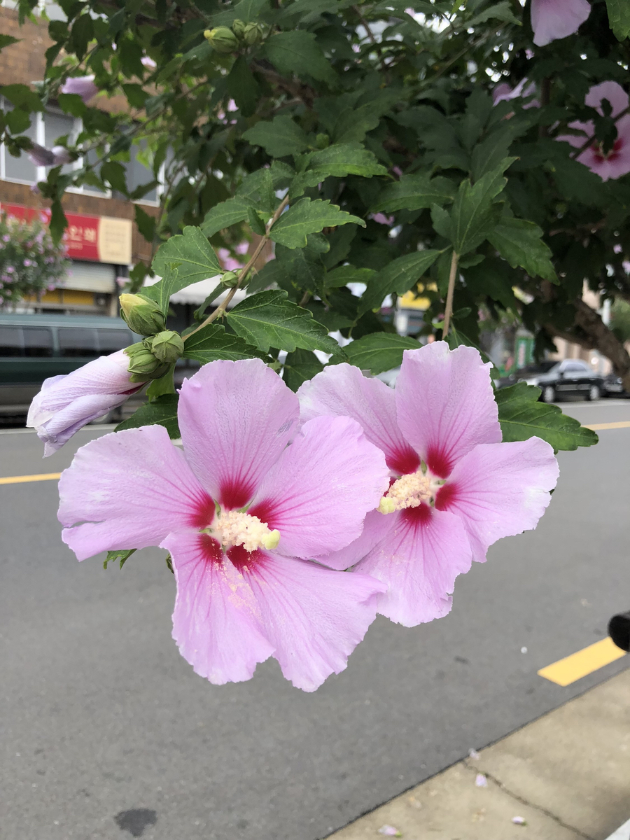 온정커피 이미지