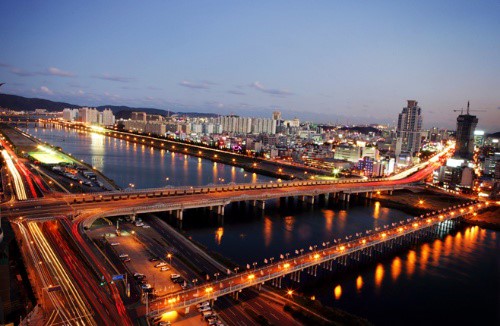 산삼하우스 이미지