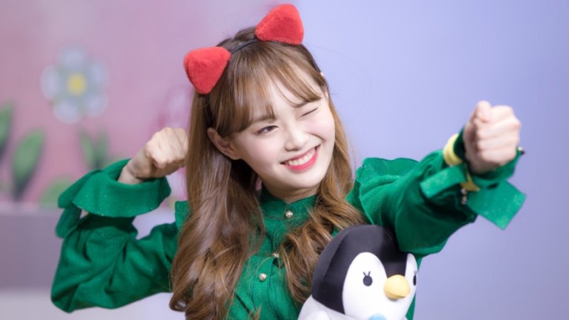 제이메이 이미지