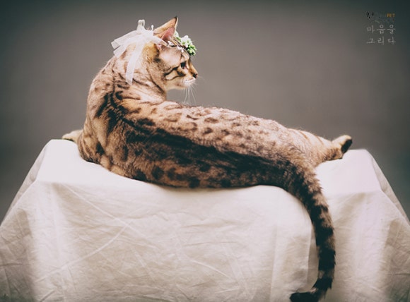 이층까페 이미지