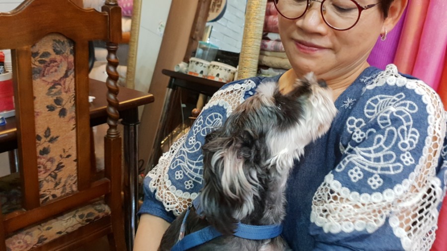 중앙한복 이미지