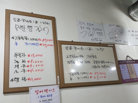 힘장어 이미지
