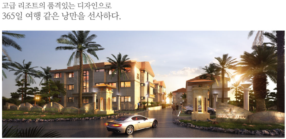 오션갤러리 이미지