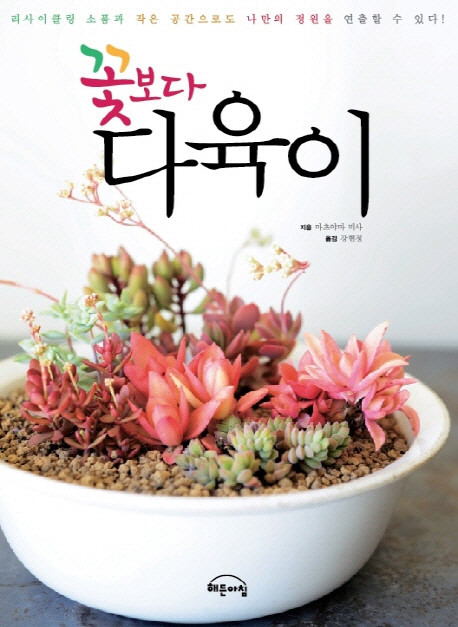 다육이랑꽃이랑 이미지