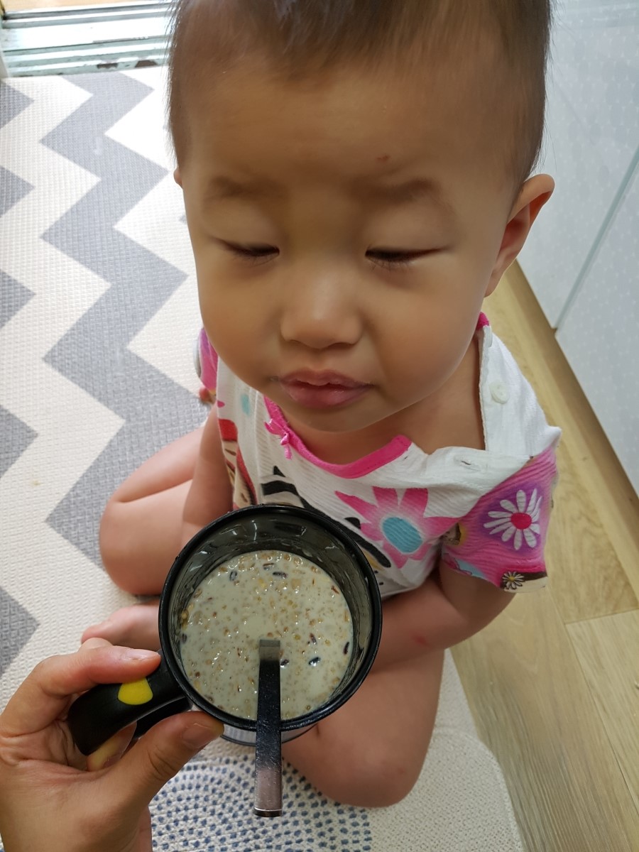 가야미과 이미지