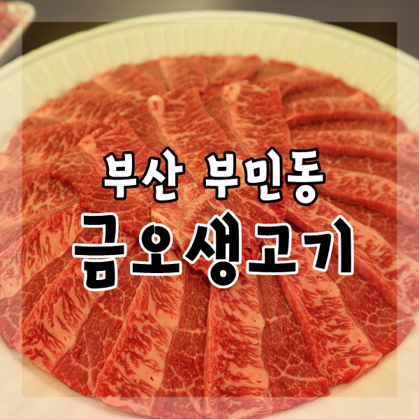 금오생고기 이미지