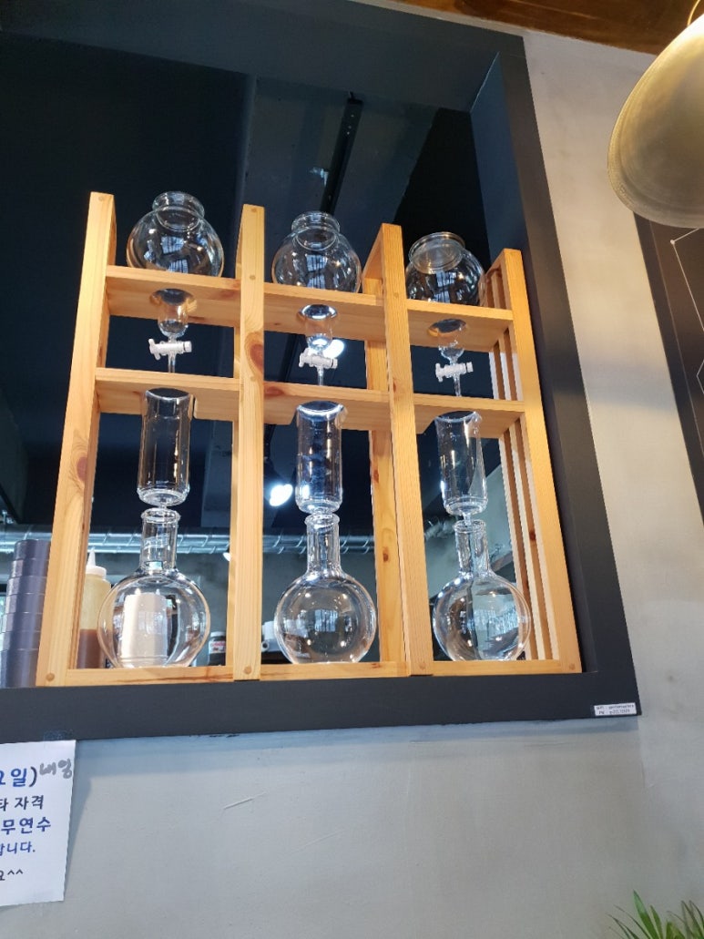 젠틀로스터스 이미지