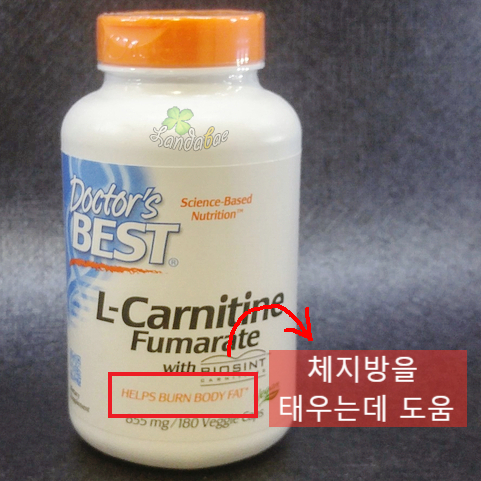 엘2알 이미지