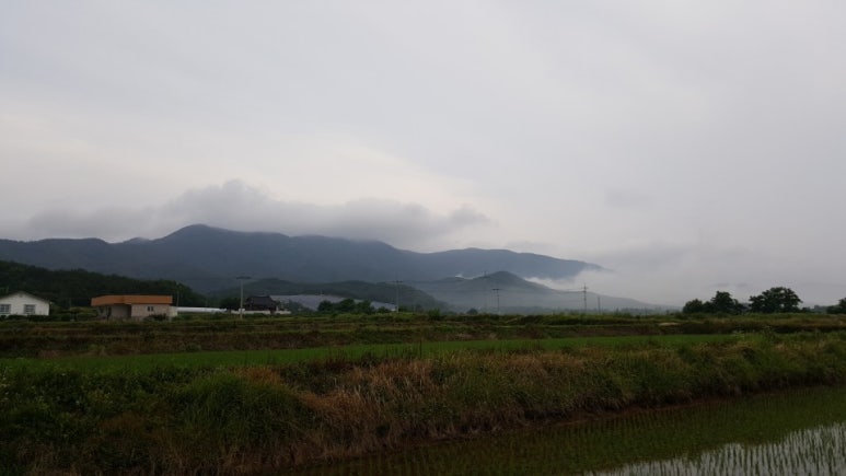 수평적사고 이미지