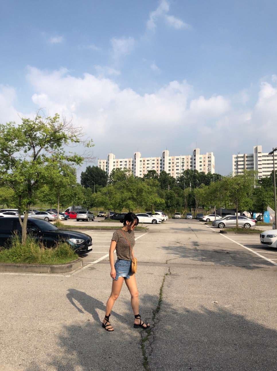 평양 정육점 이미지