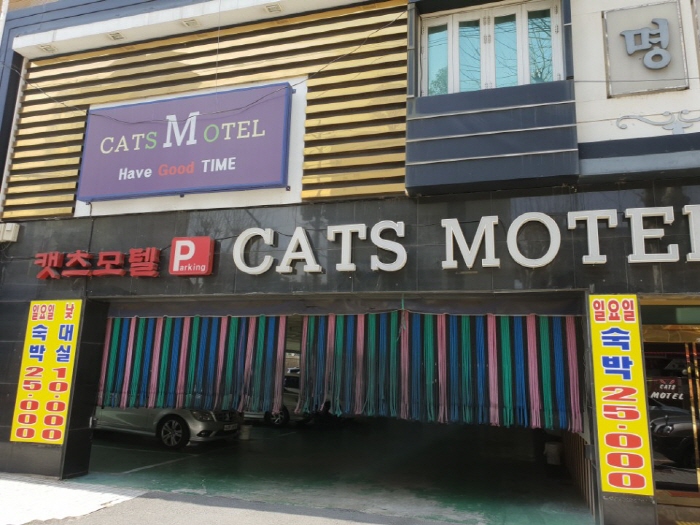 캣츠모텔 이미지