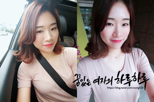 더 헤이마라 이미지