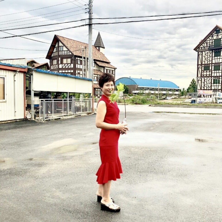 강남스타일약초백숙 이미지