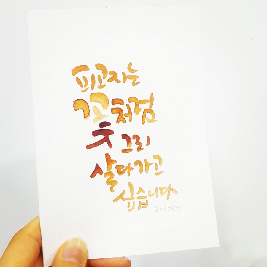 미소드림 이미지
