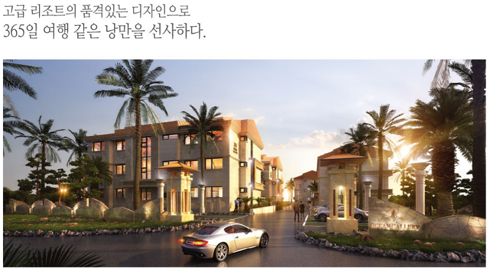 명품갤러리 이미지