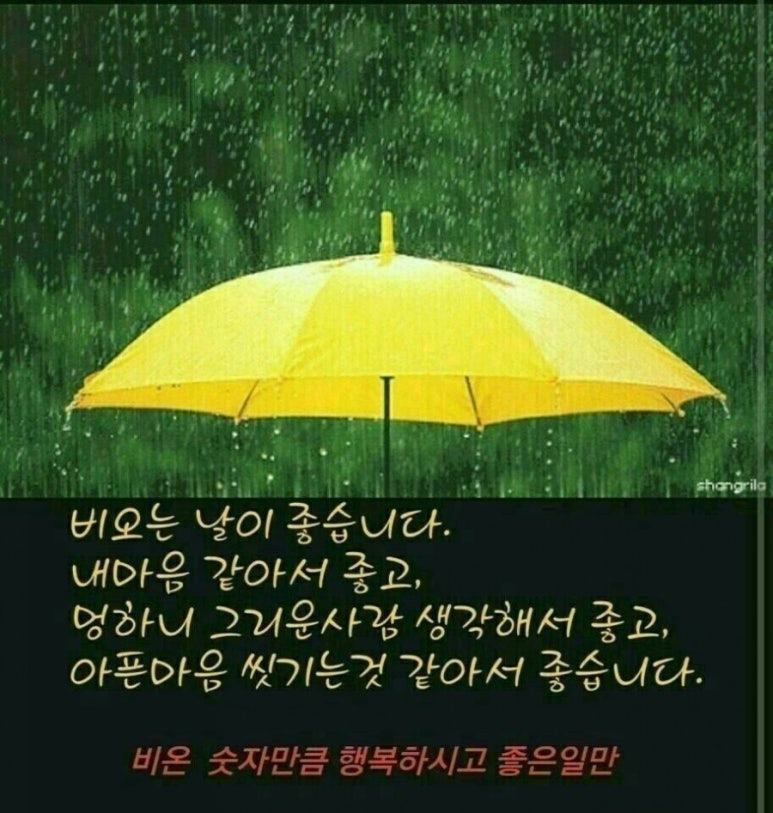 크린원 이미지