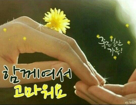 대한힐링 이미지