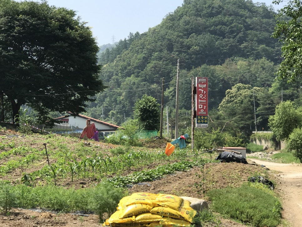 화천LPG충전소 이미지