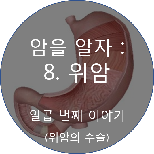 센신코리아 이미지