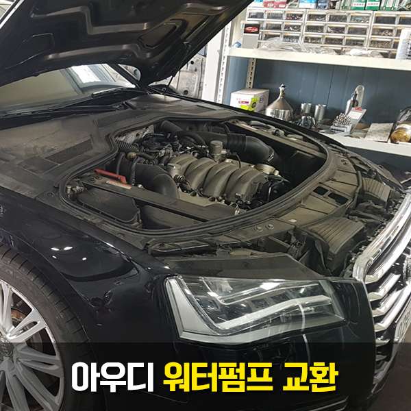 만세모터스 이미지