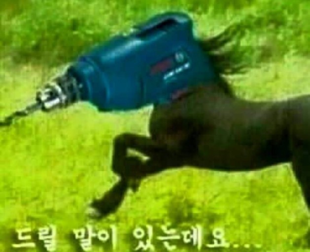 대학화방 이미지