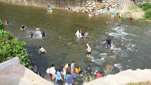 화수목펜션 이미지