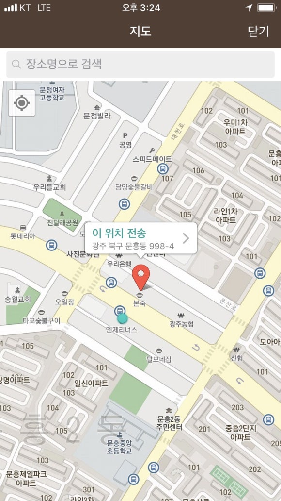 지영미트 이미지