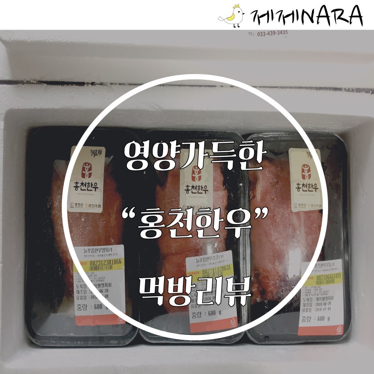 늘푸름개발 이미지