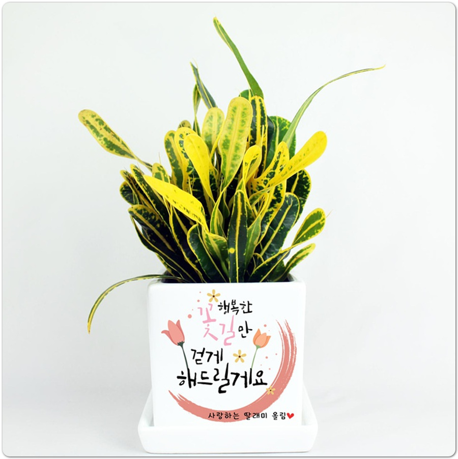 디자인조아 이미지