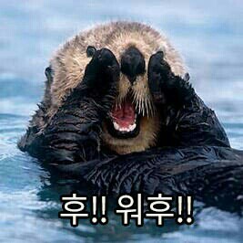 토굽스카페 이미지