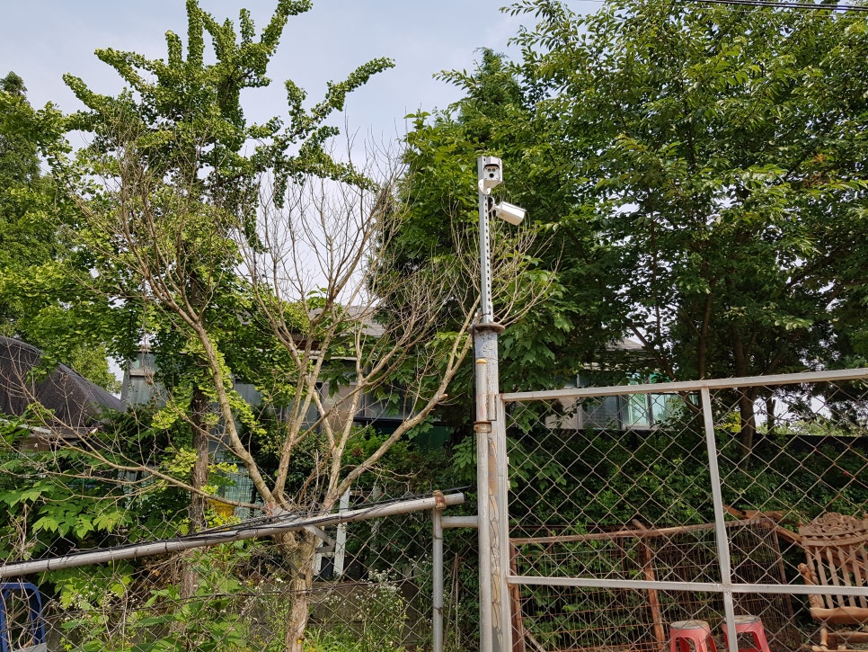 다봄시큐리티 이미지