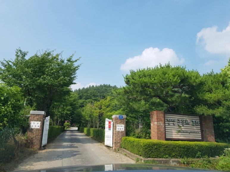 양실유치원 이미지