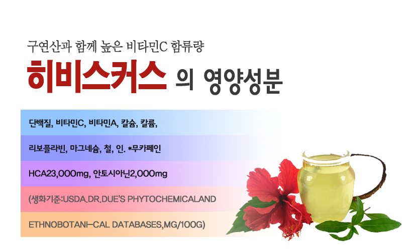 히비스 이미지