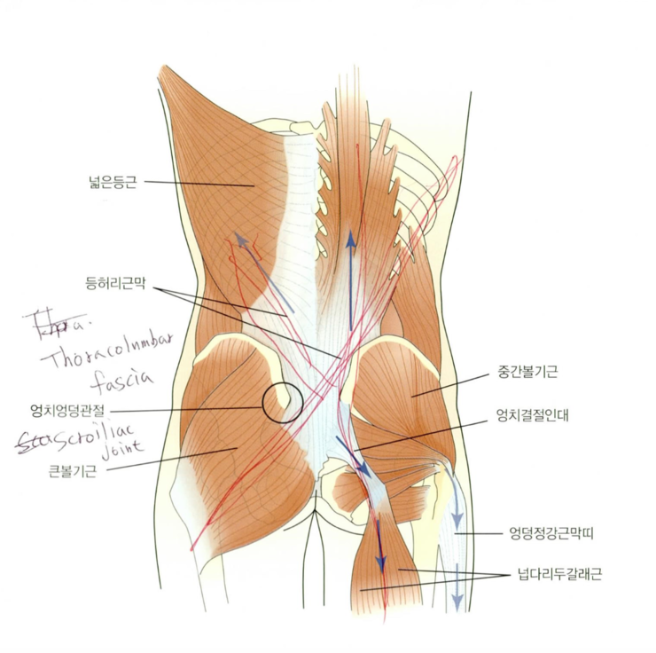 티피 시스템 이미지