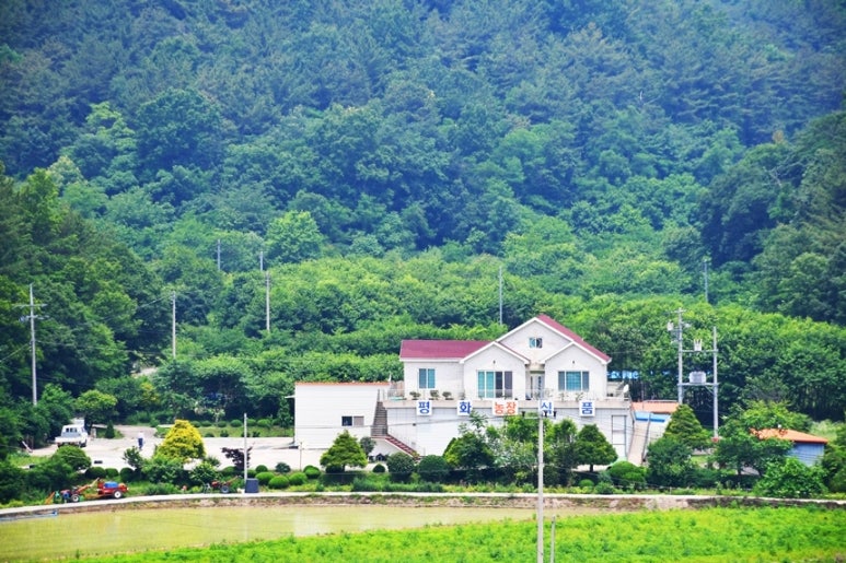 남강식품 이미지