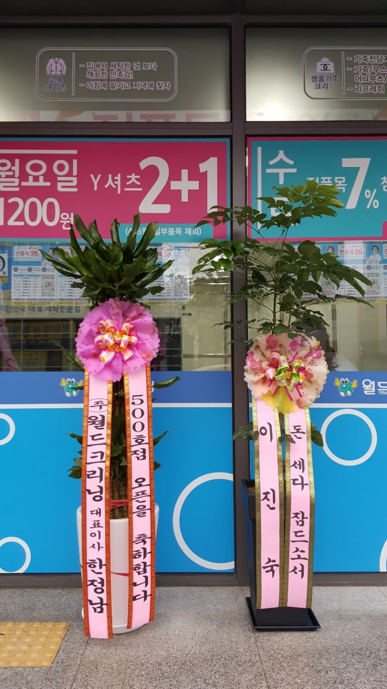 월드크리닝 이미지
